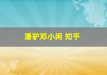 潘驴邓小闲 知乎